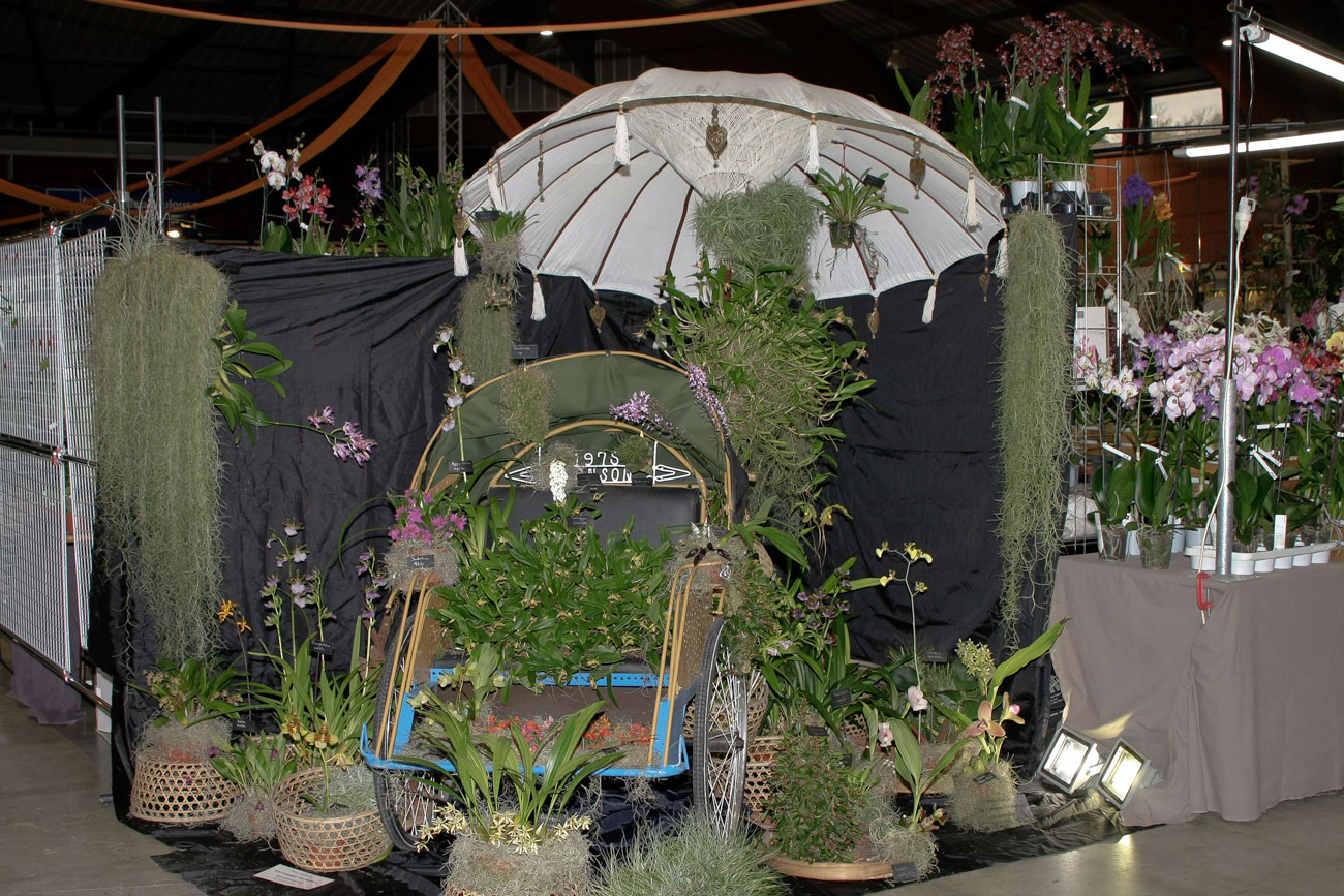 Expo-vente d'Orchidées à l'Union-Toulouse les 4,5 et 6 Novembre 2016 Expo_2016_1