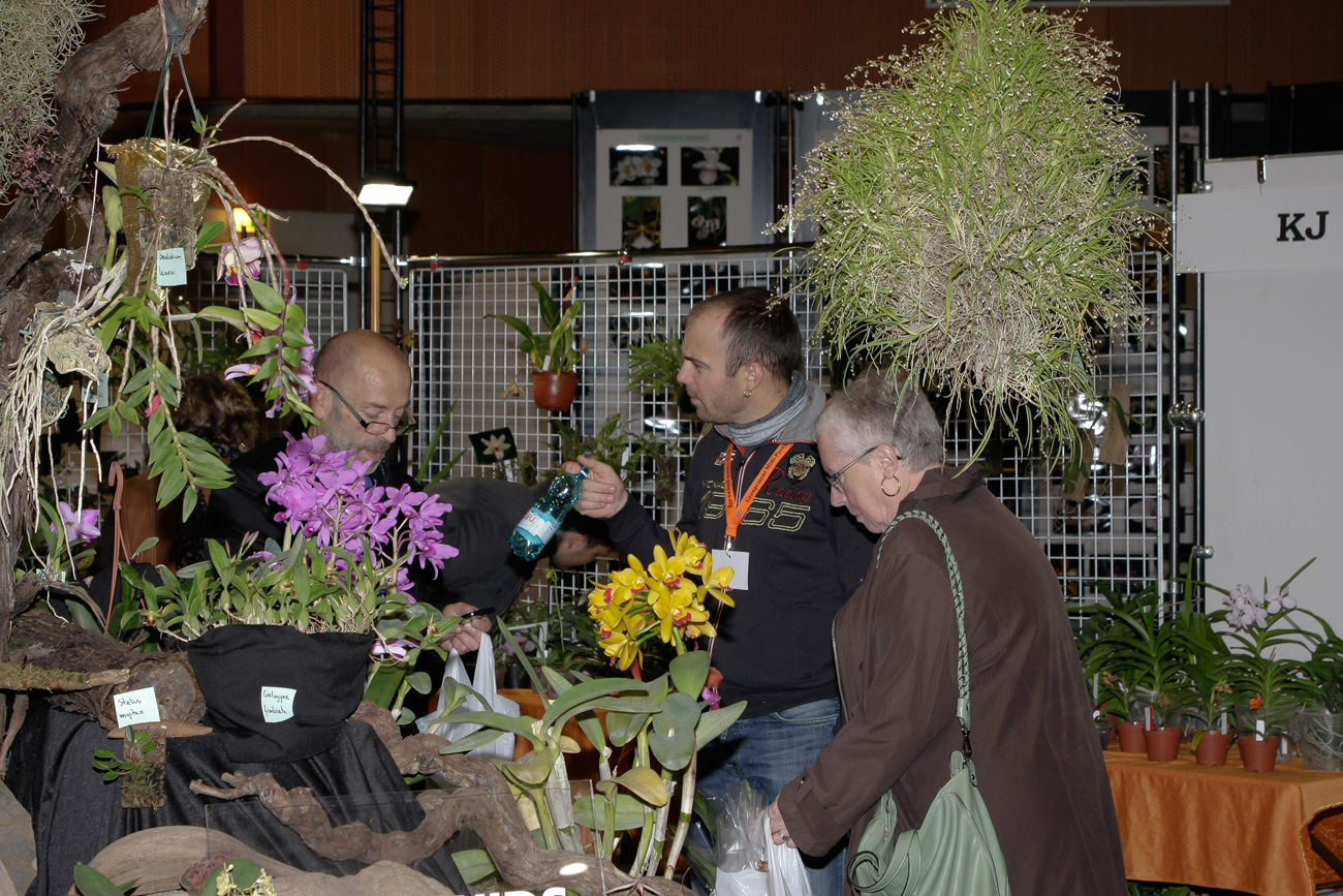 Expo-vente d'Orchidées à l'Union-Toulouse les 4,5 et 6 Novembre 2016 Expo_2016_15
