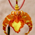 Psychopsis papilio